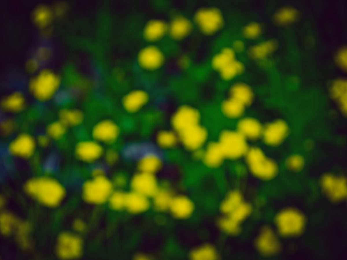 2011.04.30