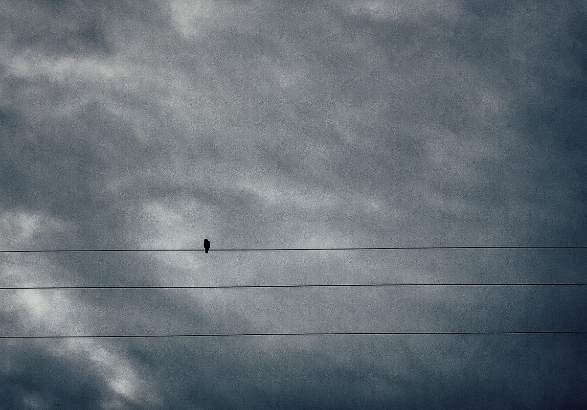 2011.04.30