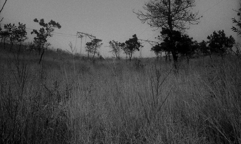 2012.01.23