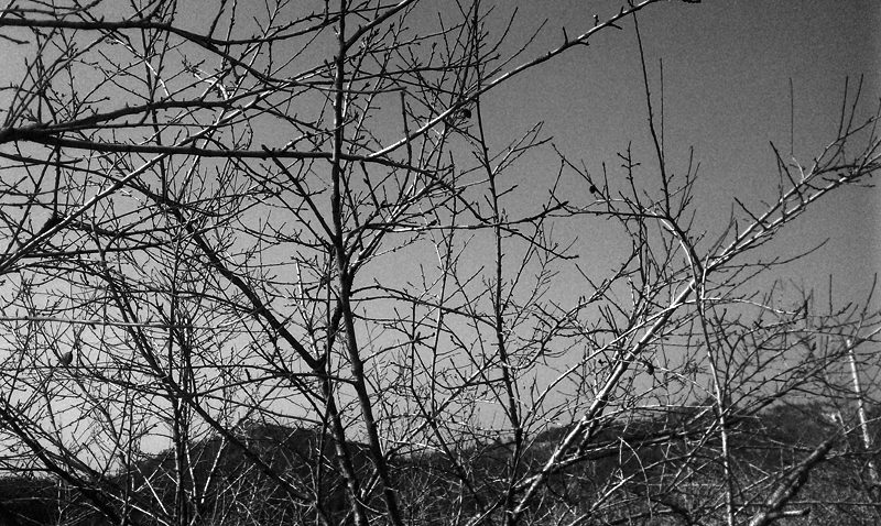 2012.01.25