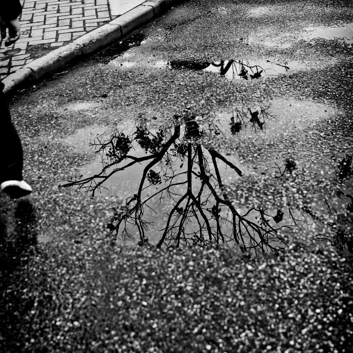 2013.01.20