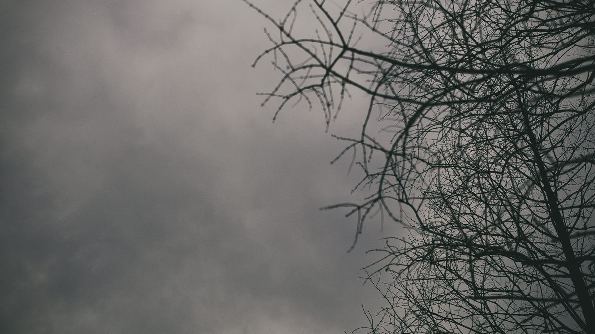 2013.01.20
