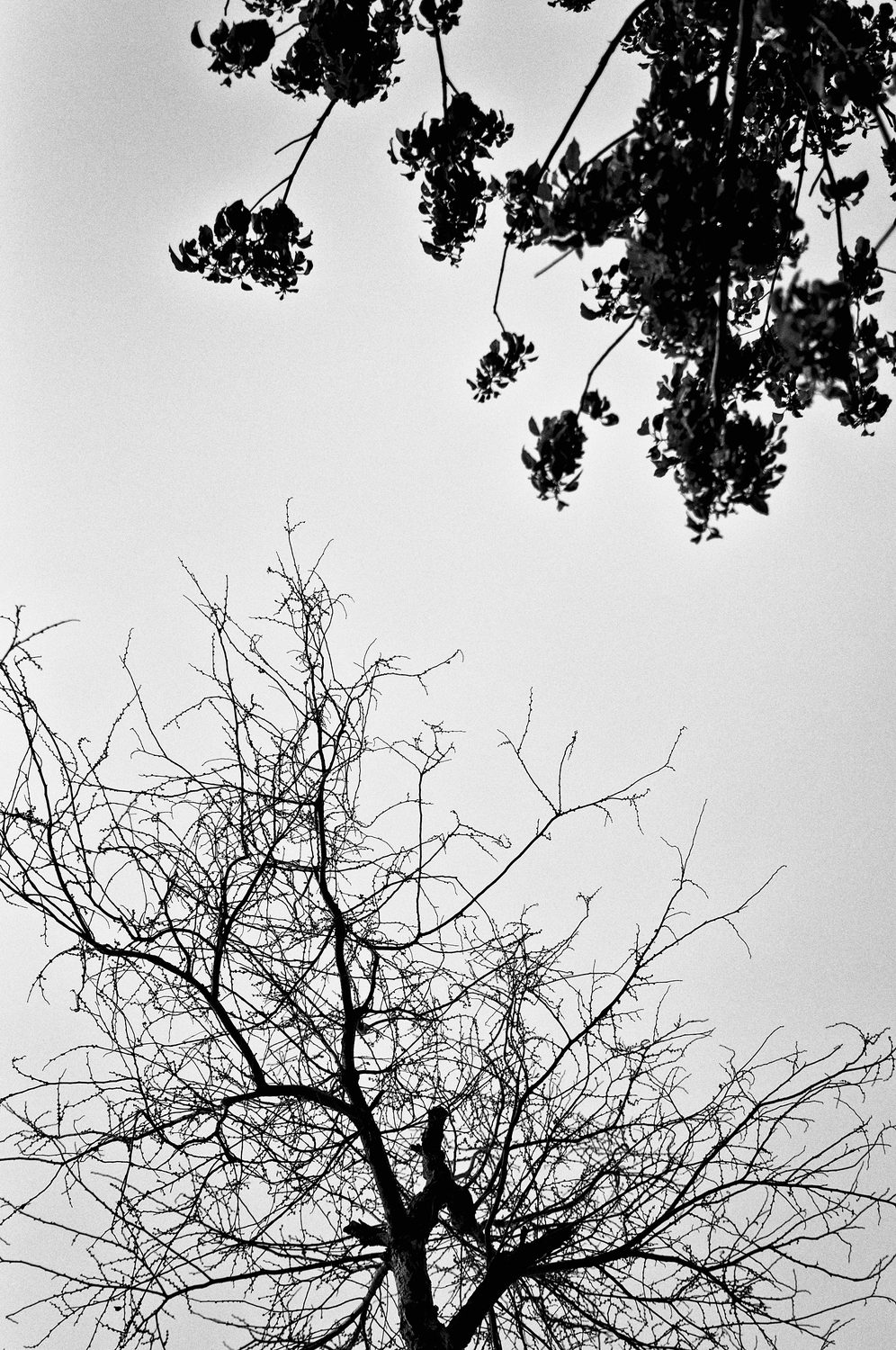 2013.01.26