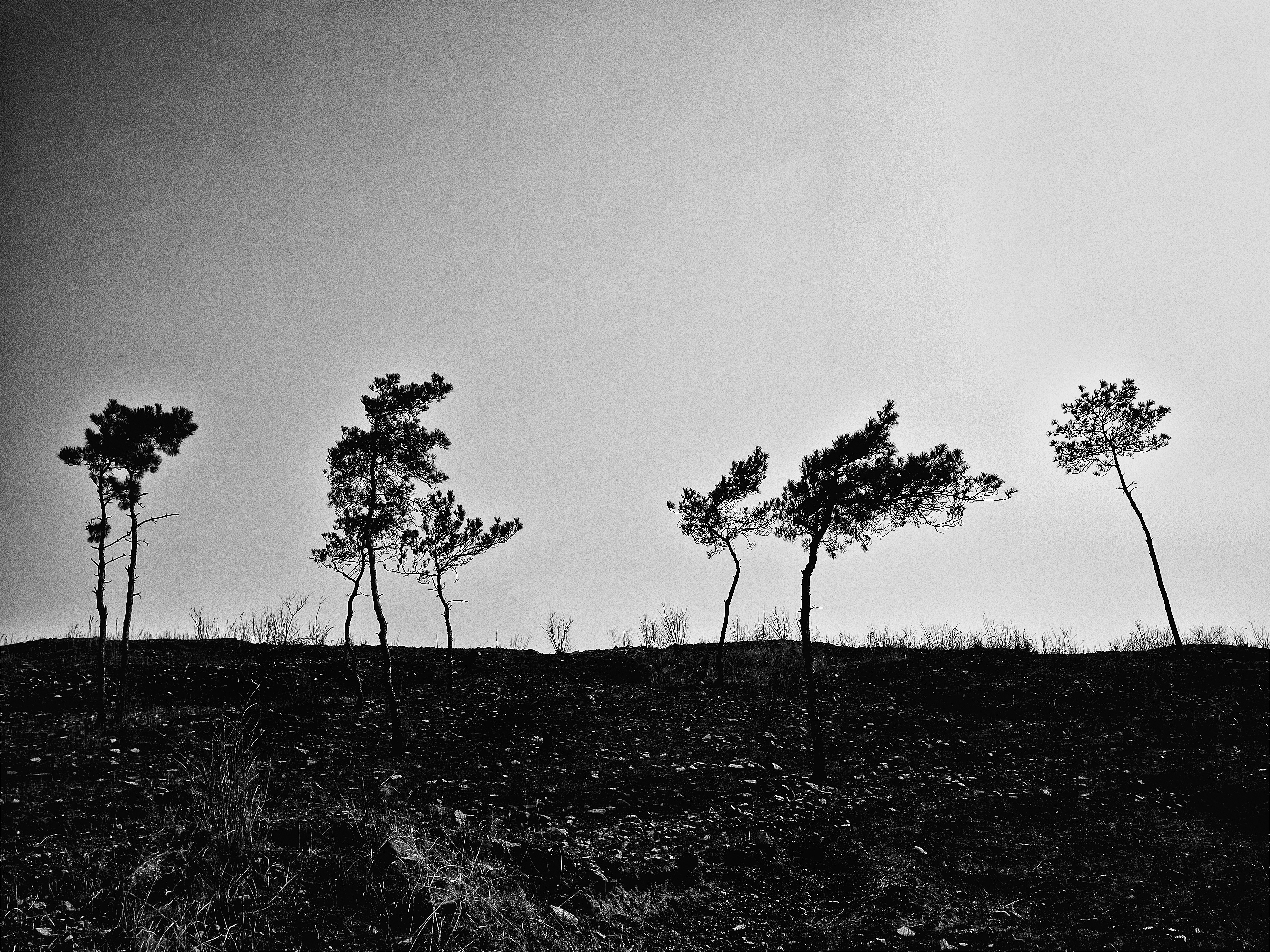 2013.02.10