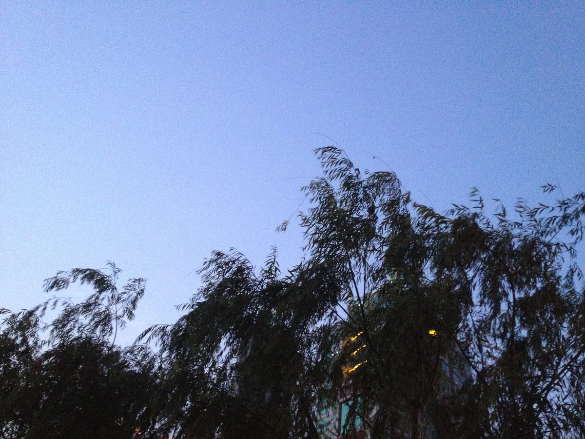 2013.05.12