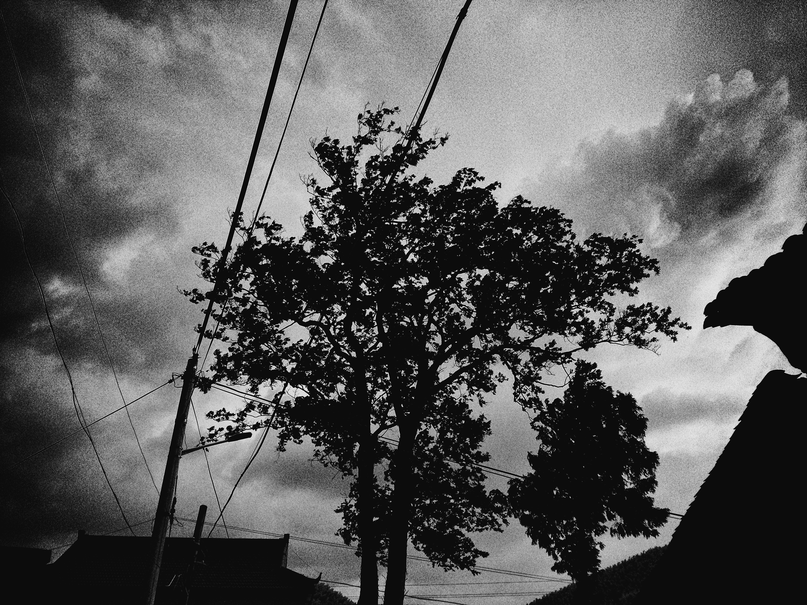 2013.07.13