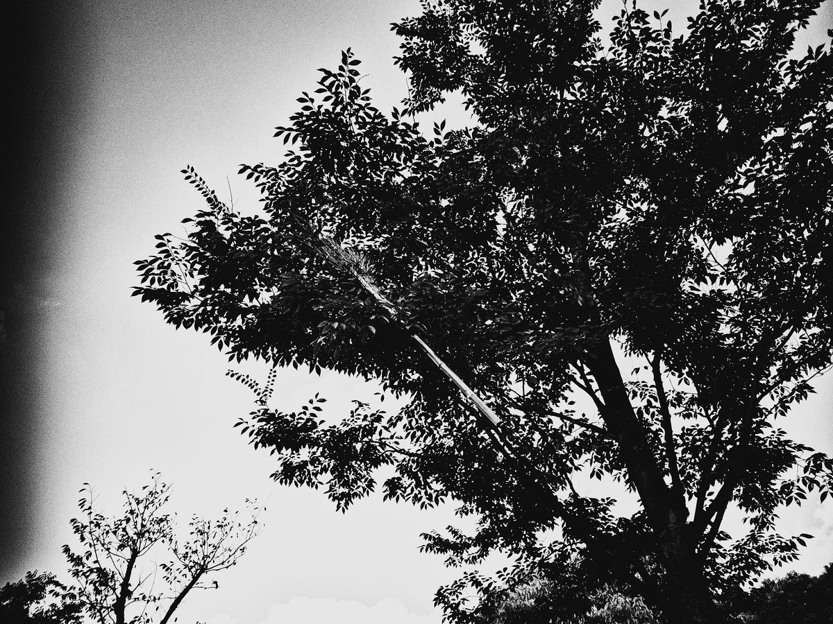 2013.09.20