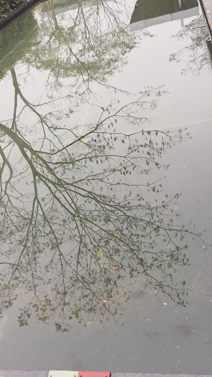 2016.11.17