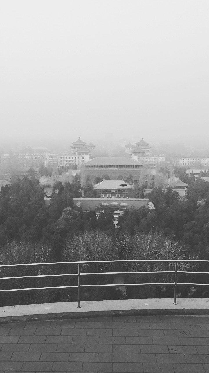 2016.12.03