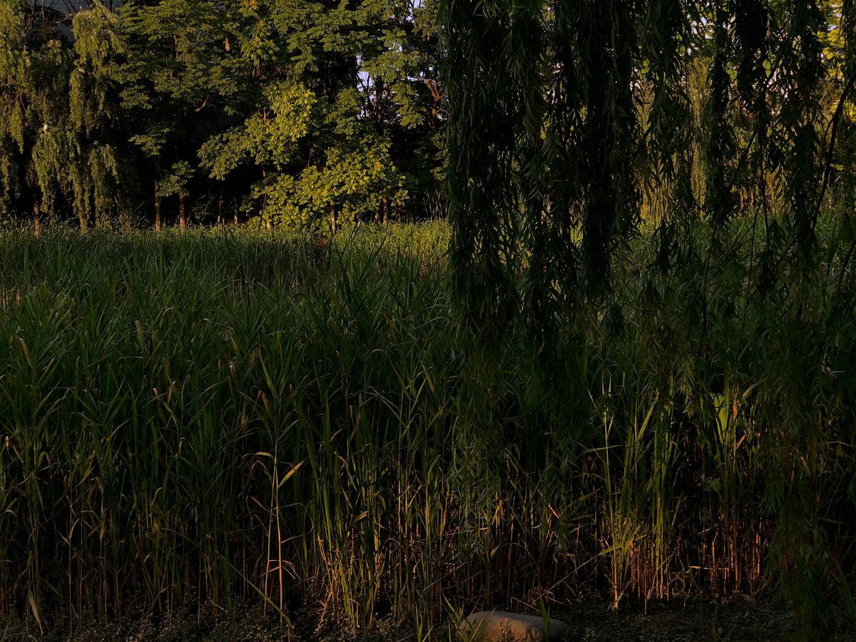 2019.06.14