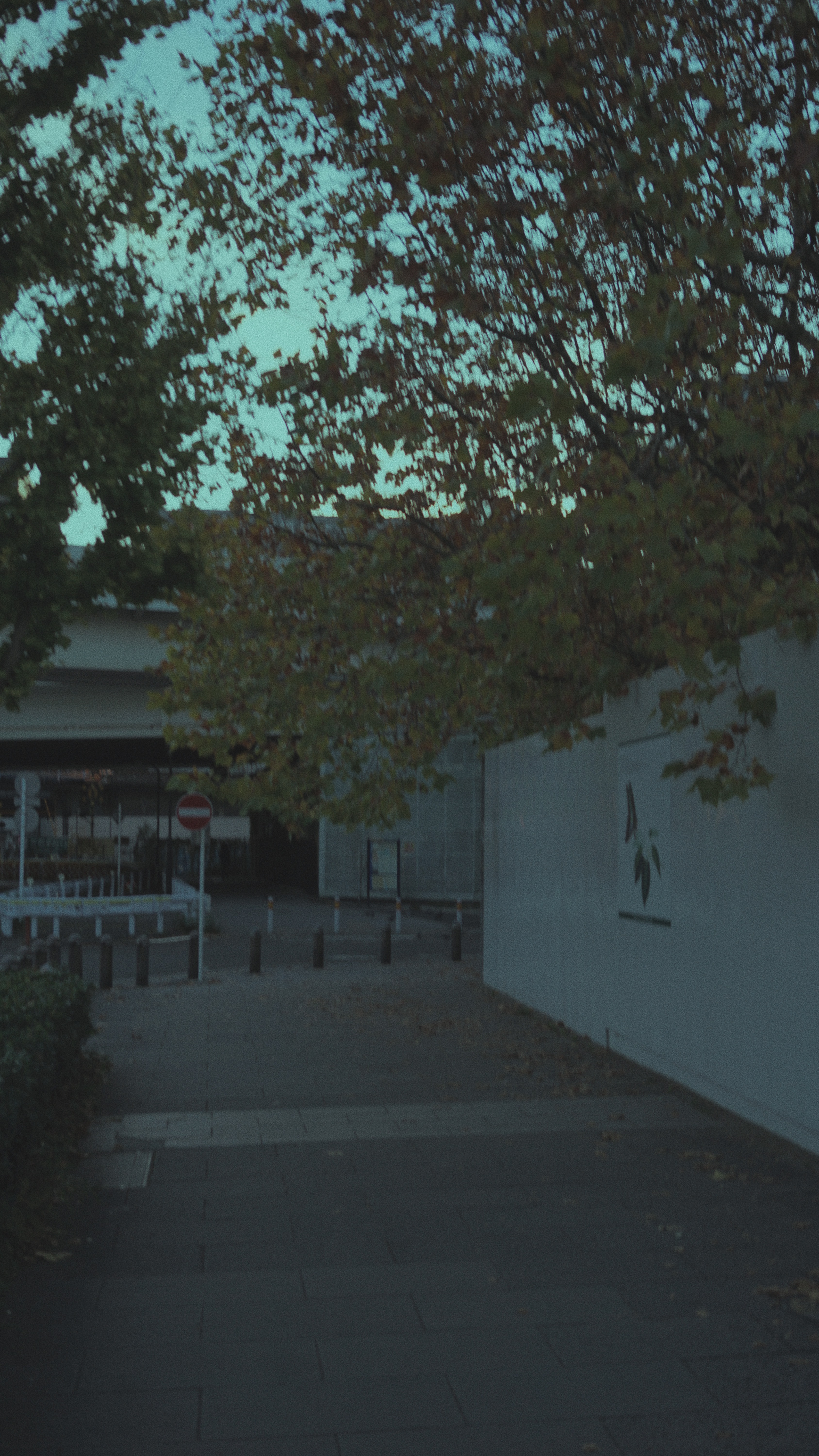 2019.11.17