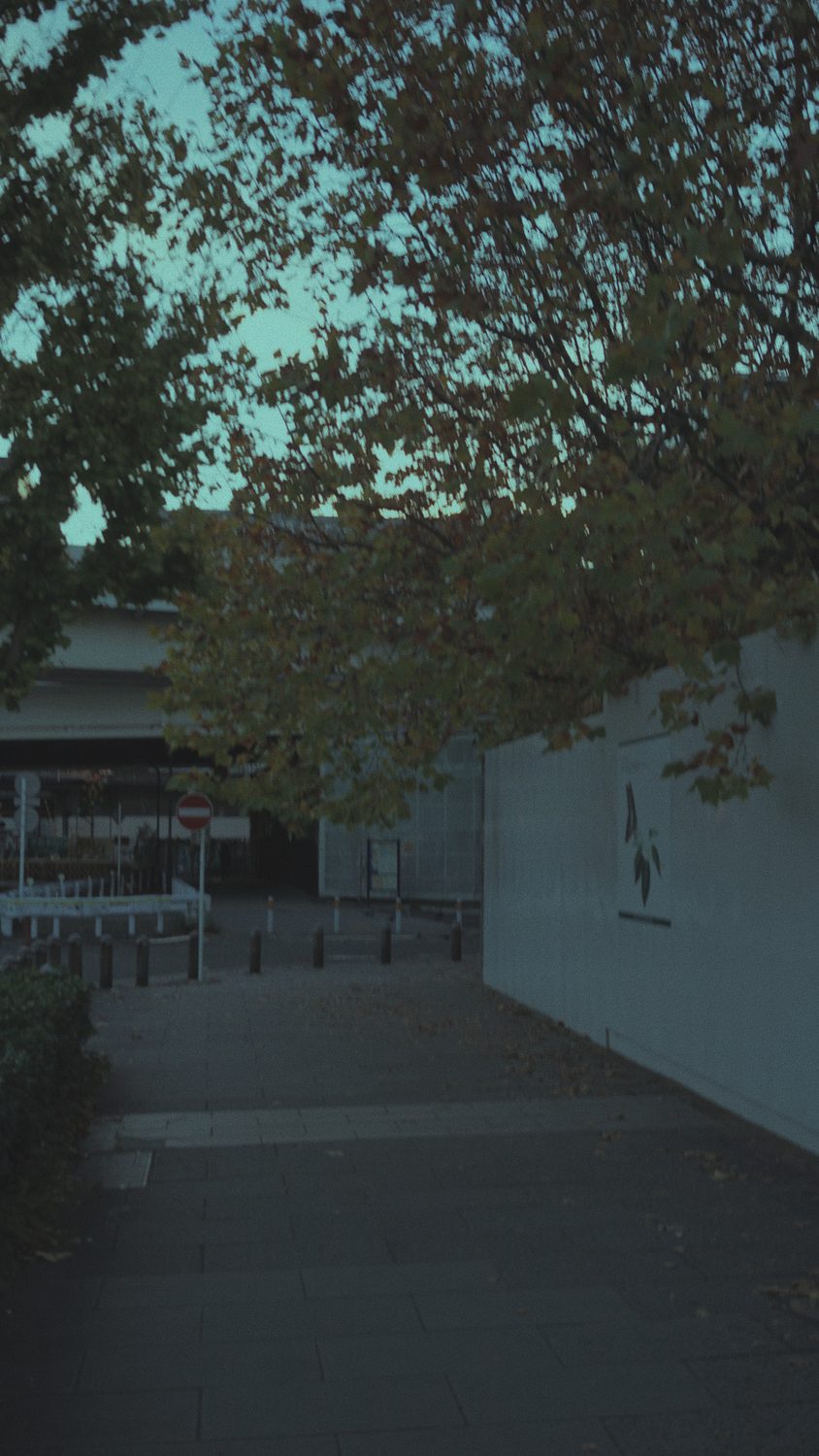 2019.11.17